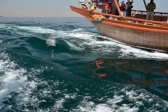 Musandam Khasab Full day dhow cruise with Lunch - Cruising past villages and watching for dolphins