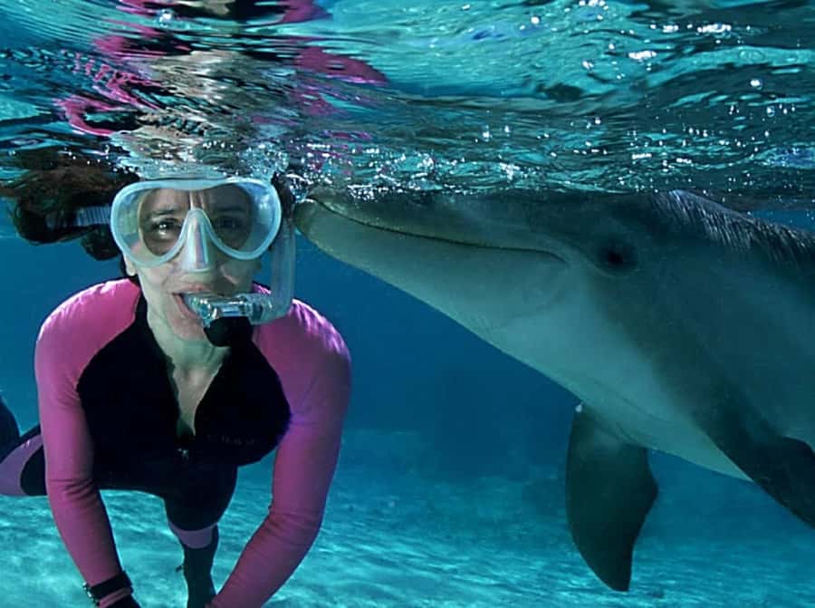 Muscat: 4-Hour Snorkeling Tour with Dolphin watching - Dolphin watching without overpromising