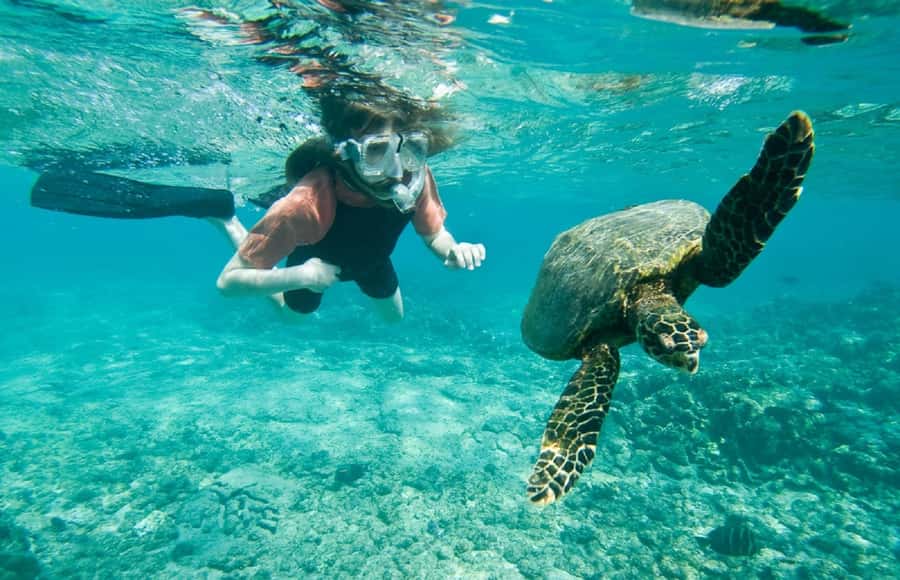 Muscat: 4-Hour Snorkeling Tour with Dolphin watching - What the three hours at sea are like
