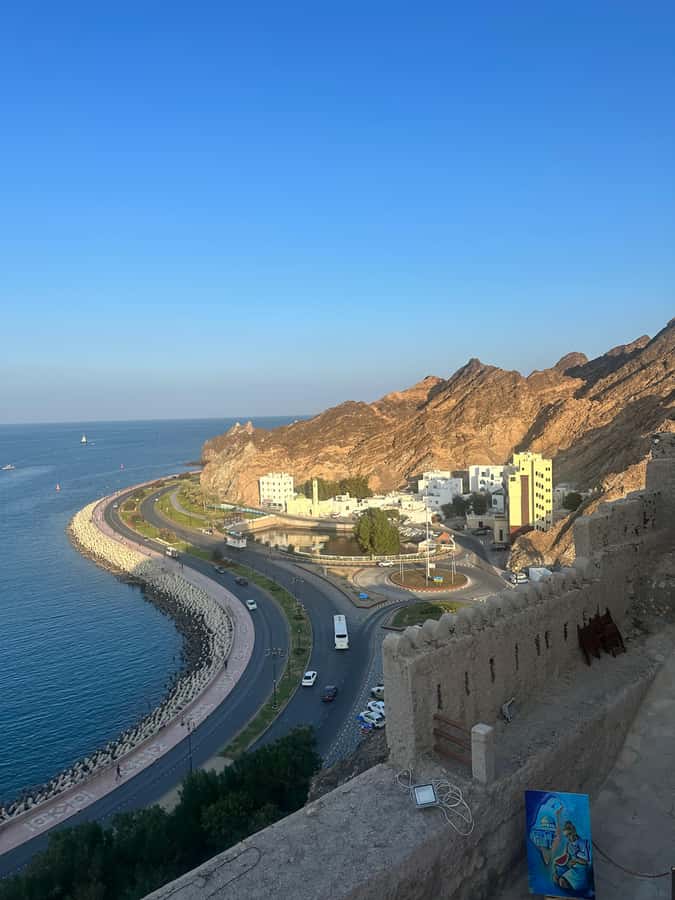 Muscat : 4 hours private Tour of Muscat City with Pick-up - What makes this Muscat tour useful