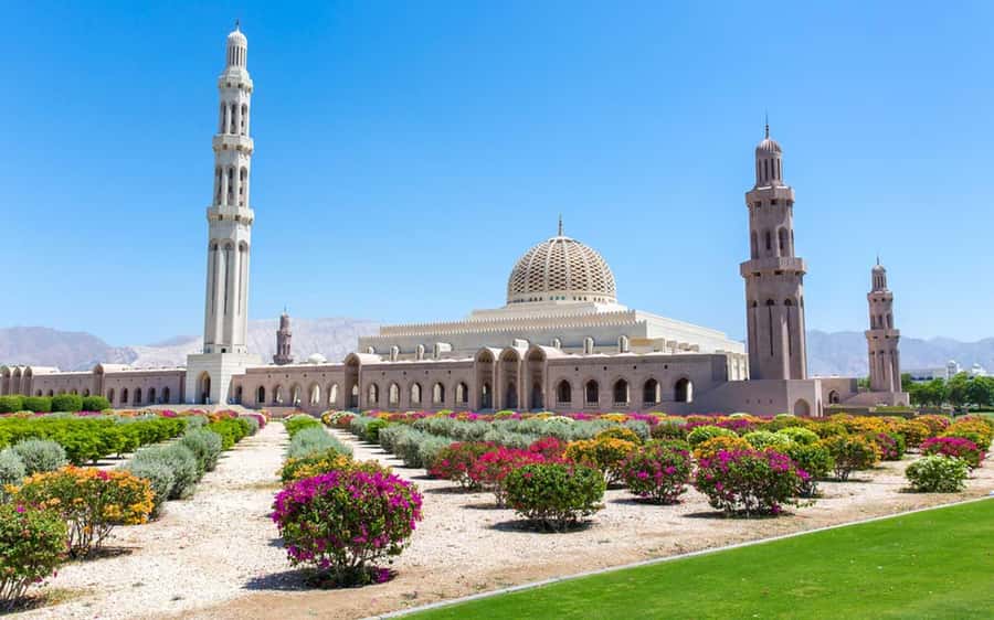 Muscat : 4 hours private Tour of Muscat City with Pick-up - Mutrah Fort and the harbor view