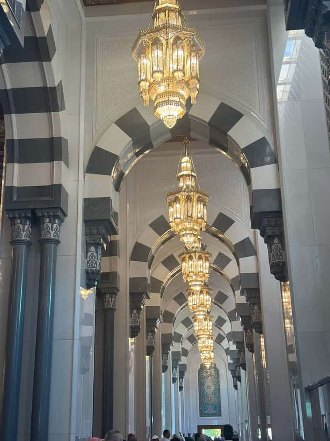 Muscat : 4 hours private Tour of Muscat City with Pick-up - One useful hour in Mutrah Souq