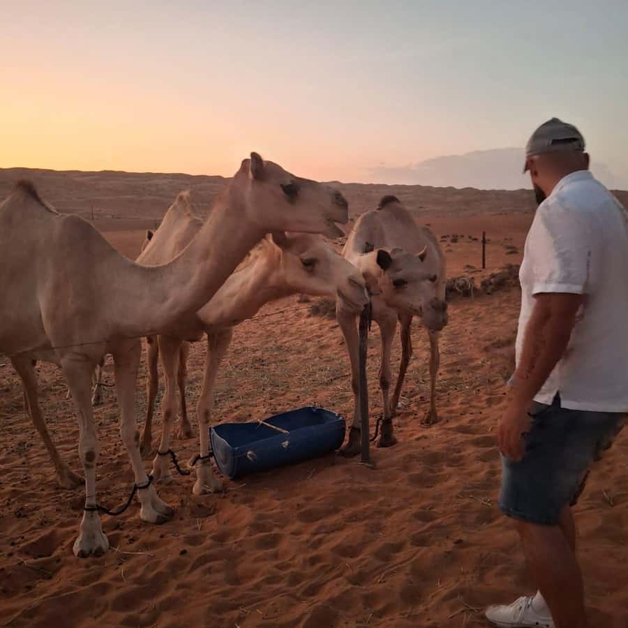 Muscat: Bidiya Desert Sunset Camel Ride with Transfer - Reaching Bidiya at about 4:00 PM