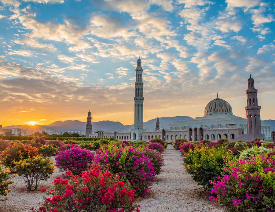 Muscat: Budget Friendly City Tour - 45 minutes inside the Sultan Qaboos Grand Mosque
