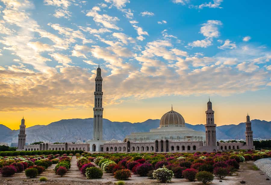Muscat: City Highlights Tour with Optional Transfers - Why this tour works as a first day in Muscat