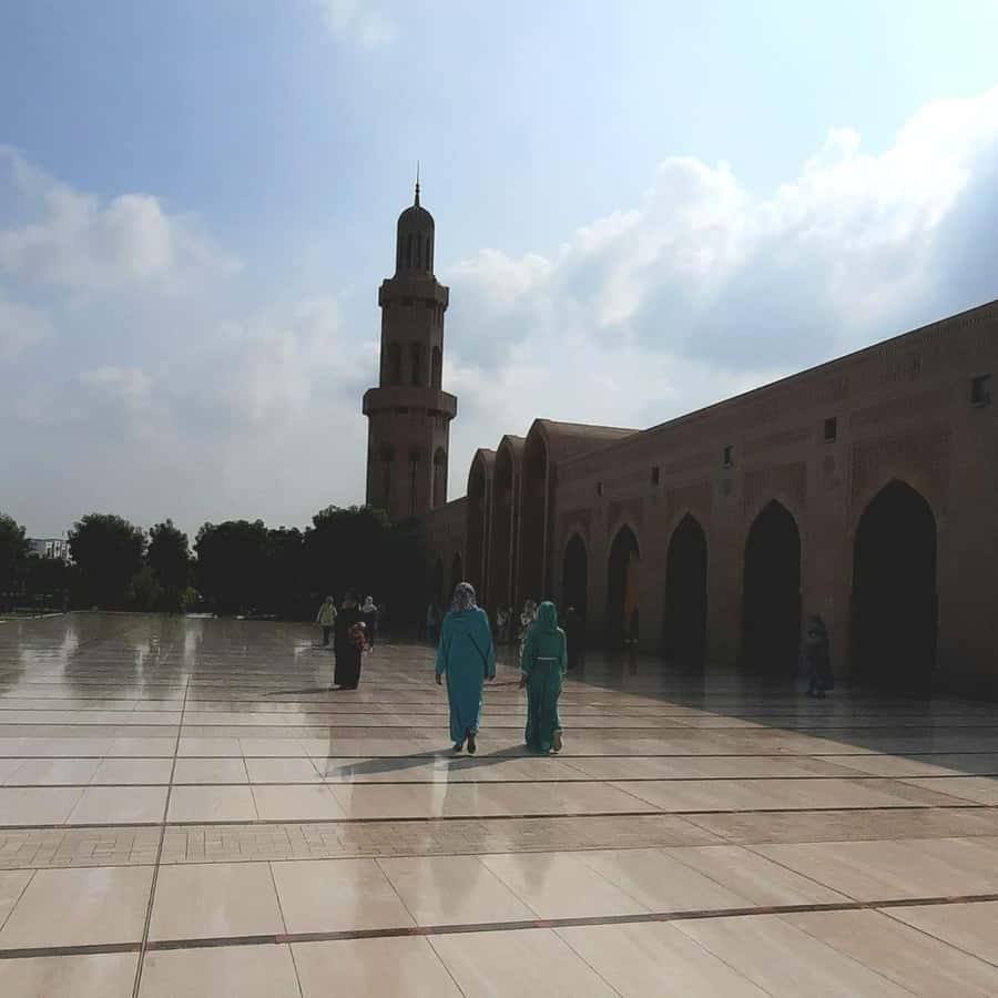 Muscat: City Highlights Tour with Optional Transfers - Who will enjoy this Muscat city tour most