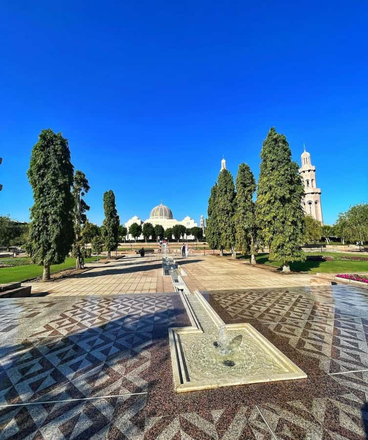 Muscat City Tour and life with Omani Guy ( luxury car). - Price, extra fees, and payment