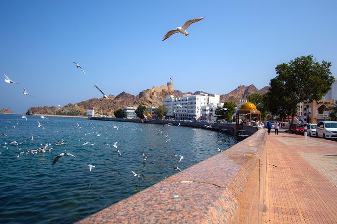 Muscat City Tour Full Day - Private Guided Tour from Muscat - Al Alam Palace and the two Portuguese forts