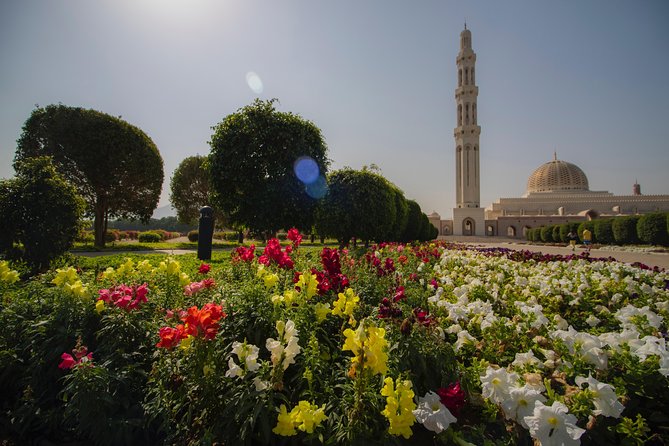 Muscat City Tour Full Day - Private Guided Tour from Muscat - Timing, pickup, and practical planning