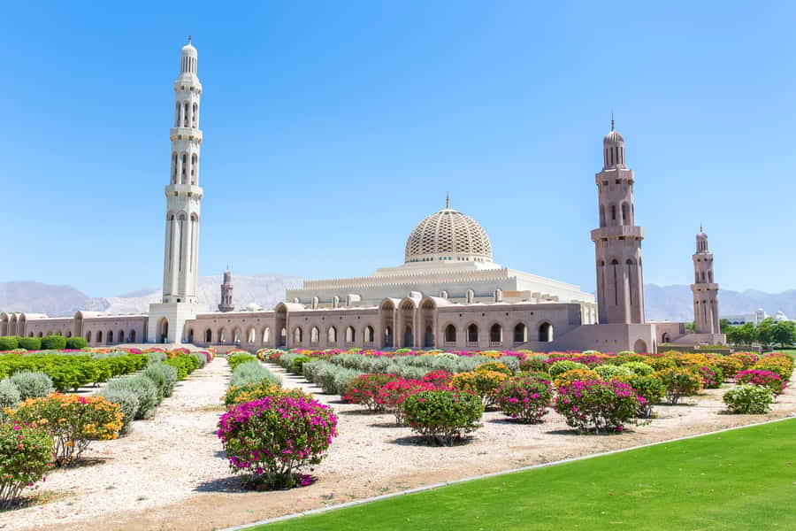 Muscat: City Tour of Grand Mosque, Old Souqs, Museum, & Fort - What the private price really buys you
