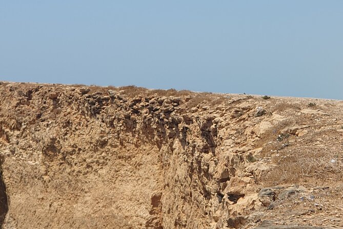 Muscat City Tour with All Language Guide - Mutrah Souq and the Corniche