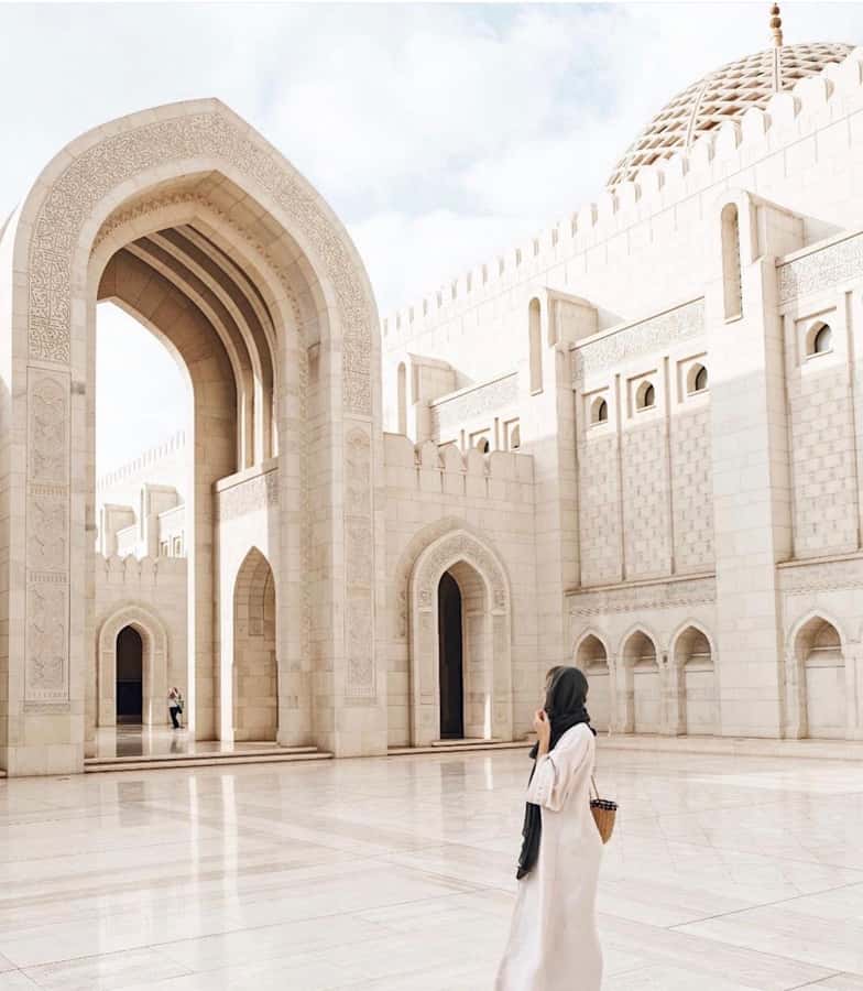 muscat city tour with pick up SMALL GROUP 7 PEOPLE MAX - Al Alam Palace and Muscat’s royal setting