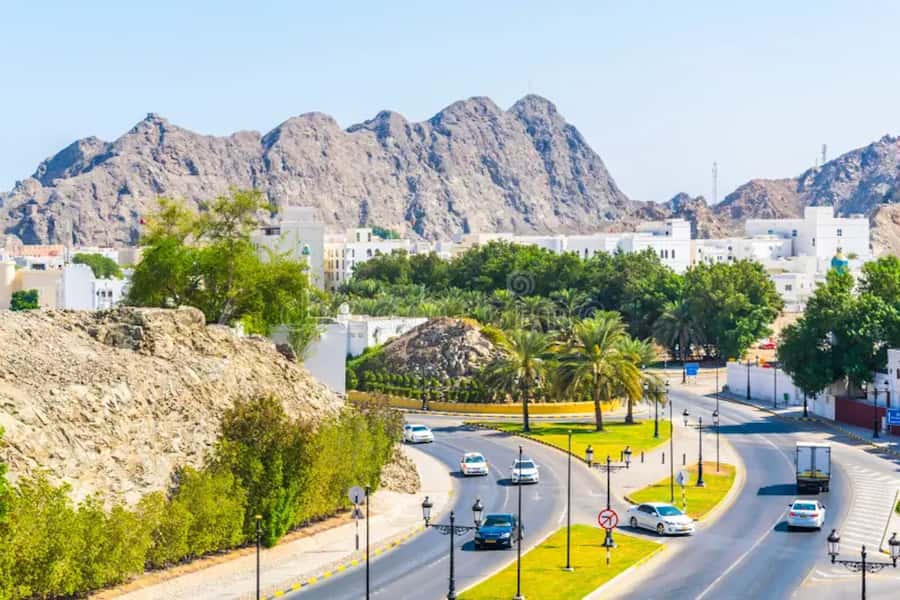 muscat city tour with pick up SMALL GROUP 7 PEOPLE MAX - Is $100 a fair price for four hours?