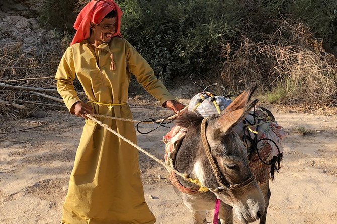 Muscat City & Wadi Shab Full-Day Adventure - What the private vehicle changes