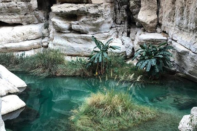 Muscat City & Wadi Shab Full-Day Adventure - Is $246.16 per person good value?