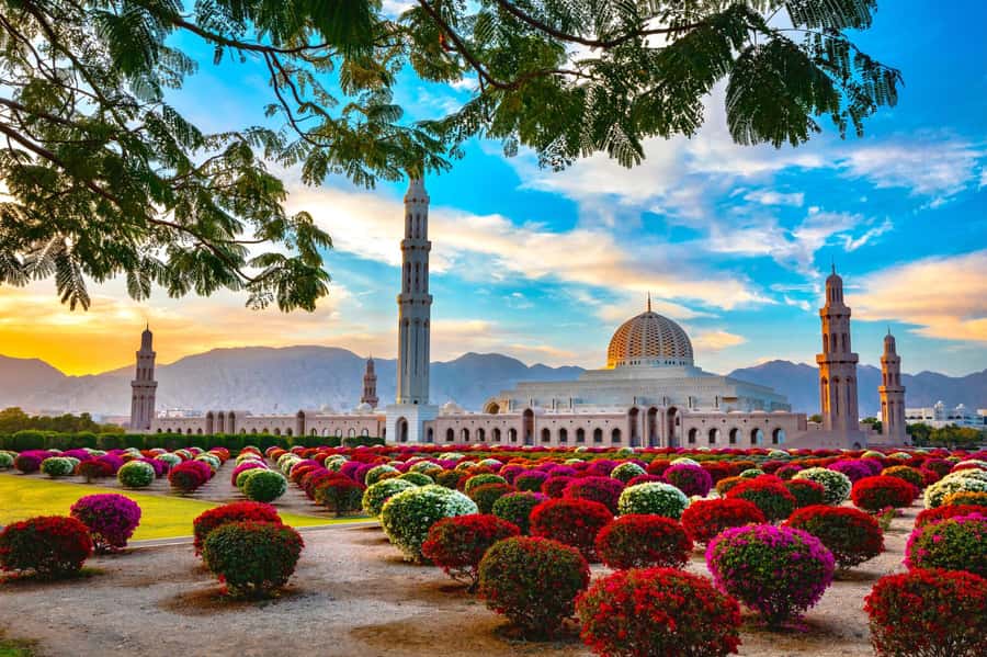 Muscat: Day Tour with Omani Lunch, Hotel Pickup, and Airfare - A fast route from the UAE to Oman