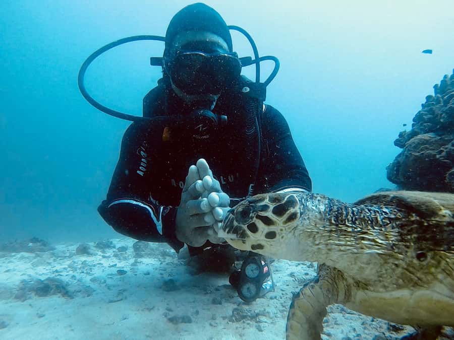 Muscat: Daymaniat Islands Scuba Diving for Beginners - Learning the basics before entering the water