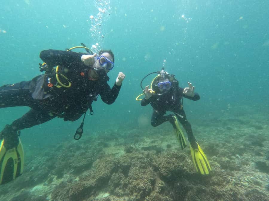 Muscat: Daymaniat Islands Scuba Diving for Beginners - Meeting turtles and reef life around Daymaniat