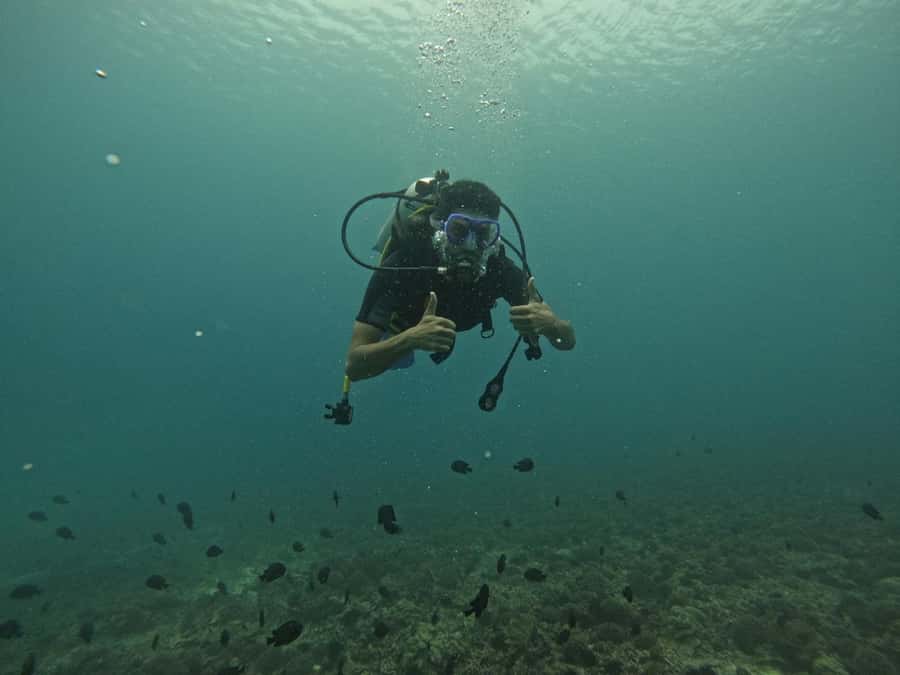 Muscat: Daymaniat Islands Scuba Diving for Beginners - Is $194 a fair price?