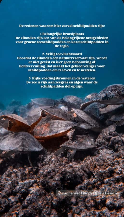 Muscat: Daymaniat Islands Snorkeling Tour with Refreshments - Key points to know before you book