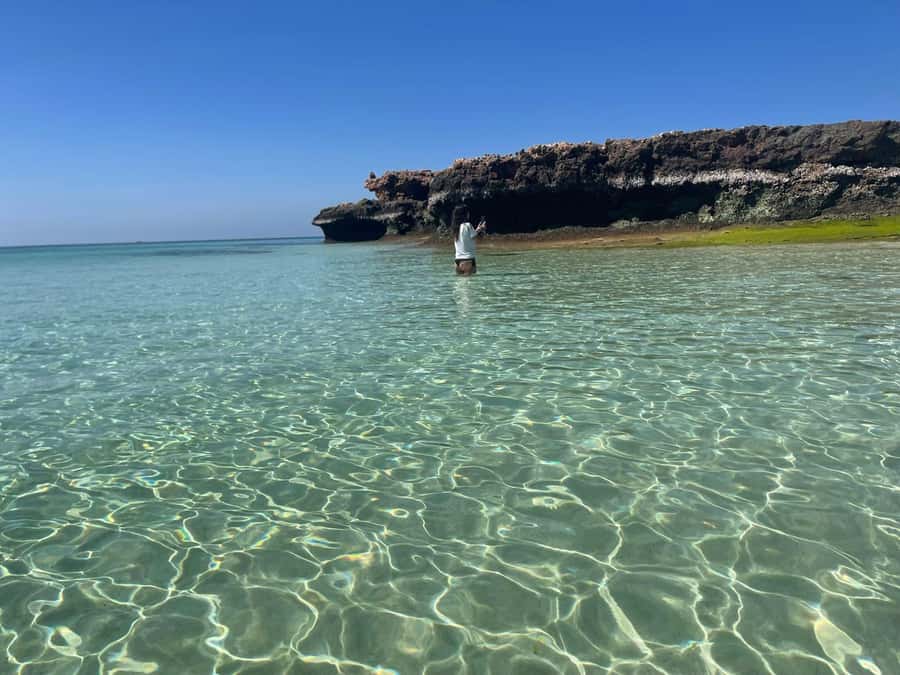 Muscat: Daymaniat Islands Snorkeling Trip with Brunch - First water stop: turtles, fish, and coral