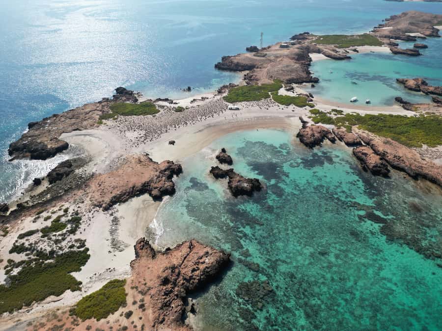 Muscat: Daymaniat Islands Tour - Key points at a glance