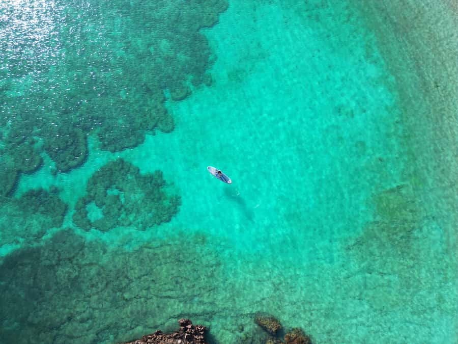 Muscat: Daymaniat Islands Tour - Snorkeling with turtles and reef fish