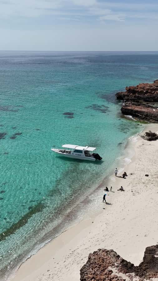 Muscat: Daymaniat Islands Tour - Sunset timing and the limits of the schedule