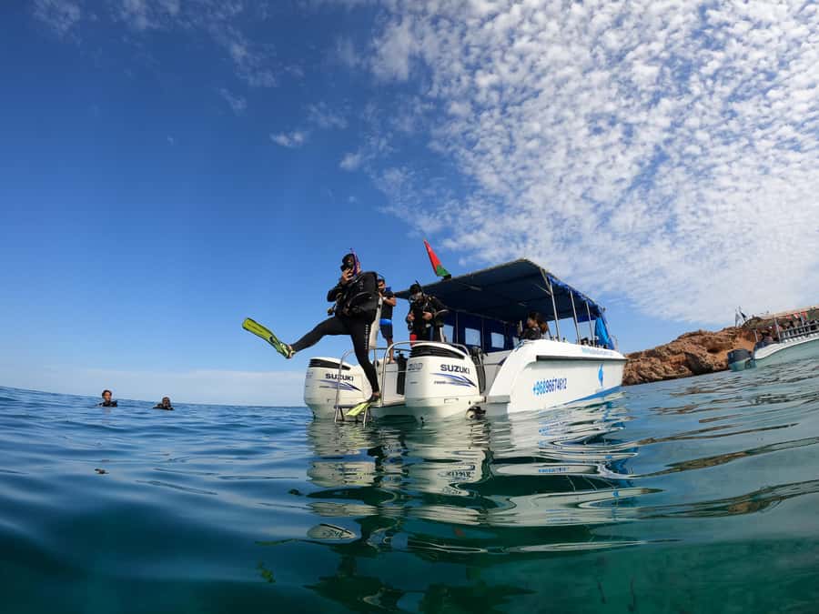 Muscat: Daymaniyat Island Scuba Dive 2 locations + BBQ Lunch - Why Daymaniyat Islands make a good Muscat day out