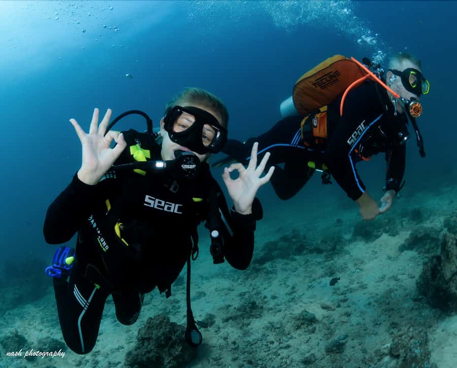 MUSCAT: Daymaniyat Island Snorkeling & Try-Dive + BBQ Lunch - What the $165 price really covers