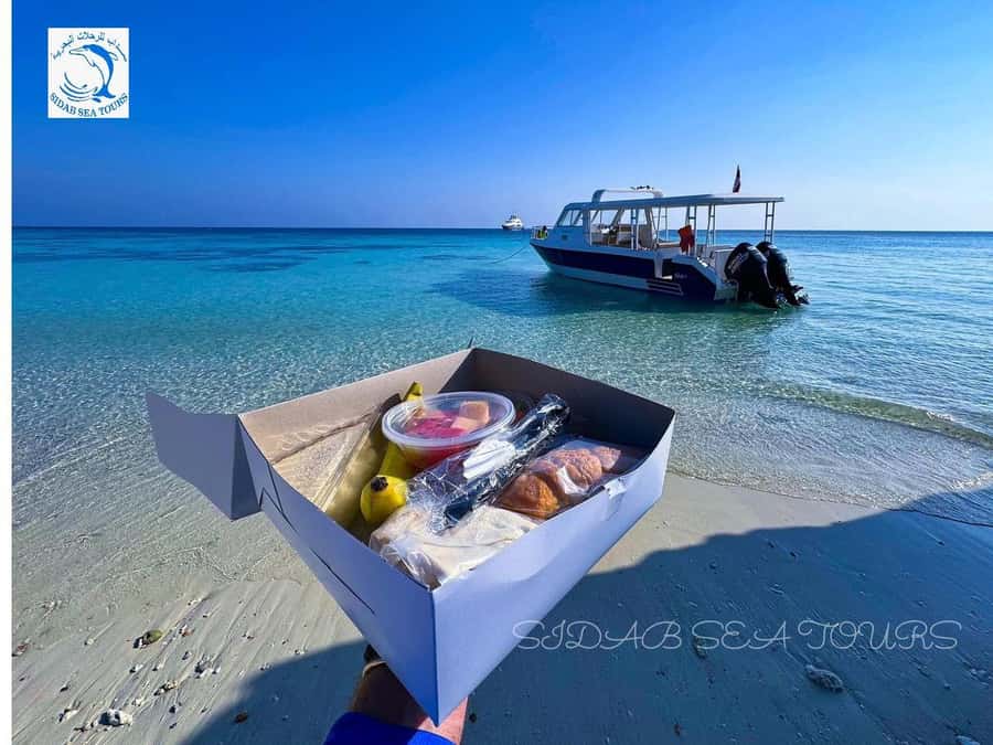 Muscat: Daymaniyat Island Snorkeling with Turtles Tour - Who should book this Oman snorkeling tour