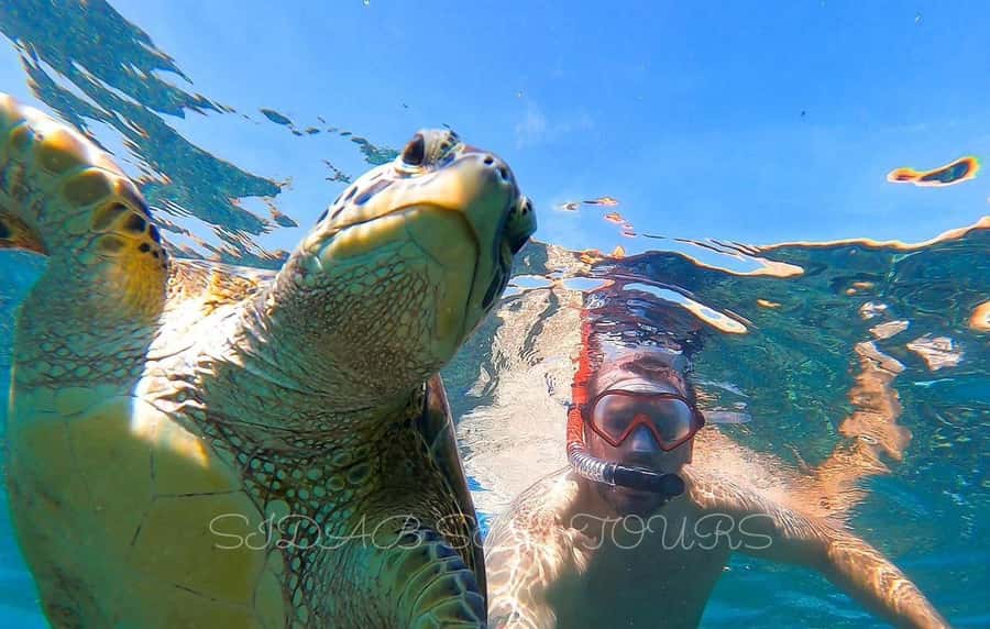 Muscat: Daymaniyat Island Snorkeling with Turtles Tour - The first hour at sea: Muscat coast and marine life