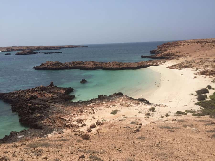 Muscat: Daymaniyat Islands Private Boat Tour with Snorkeling - Coral Bay gives you a second look below the surface