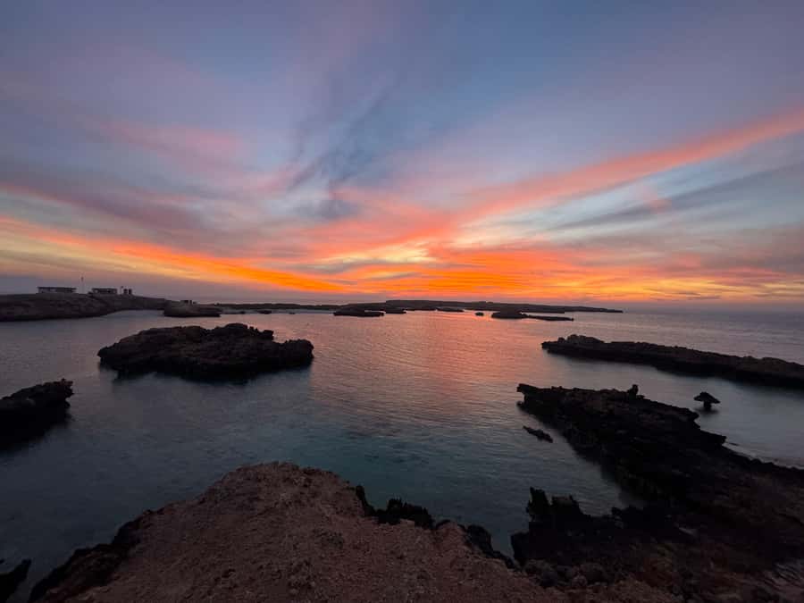 Muscat: Daymaniyat Islands Snorkeling Tour - Is $59 good value?
