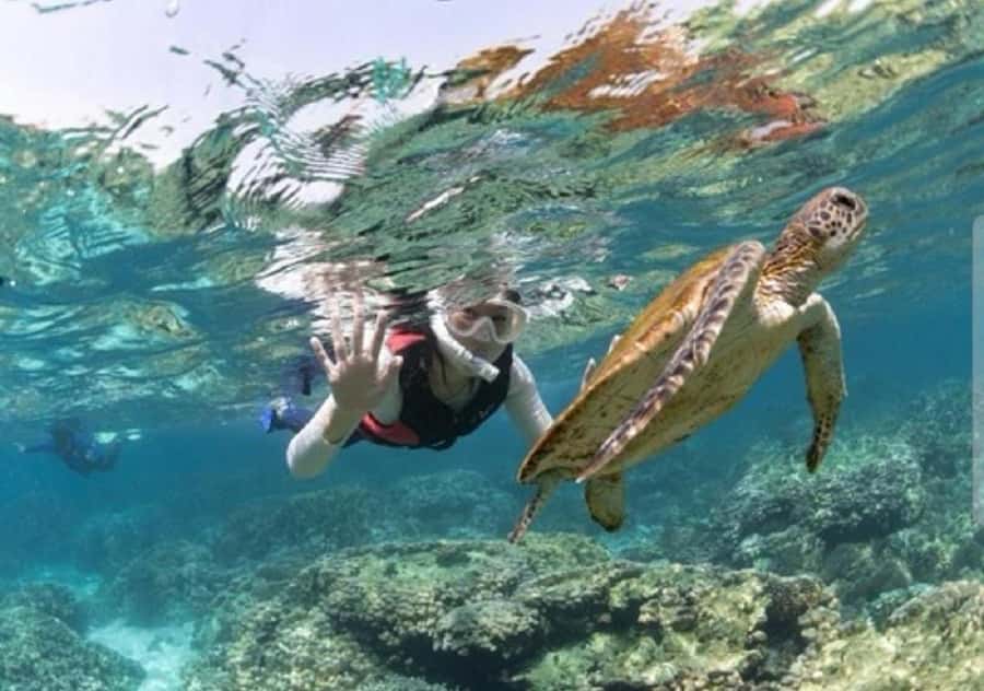 Muscat: Daymaniyat Islands Snorkeling Trip with BBQ Lunch - The island experience changes with the calendar