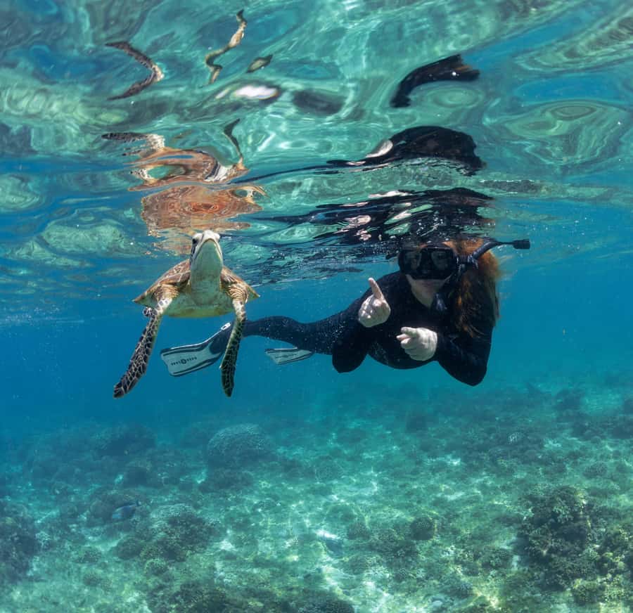 Muscat: Daymaniyat Islands Snorkeling Trip with BBQ Lunch - Second snorkeling stop and more sea life