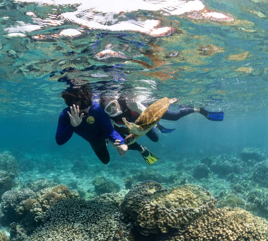 Muscat: Daymaniyat Islands Snorkeling Trip with BBQ Lunch - Who will enjoy this most?