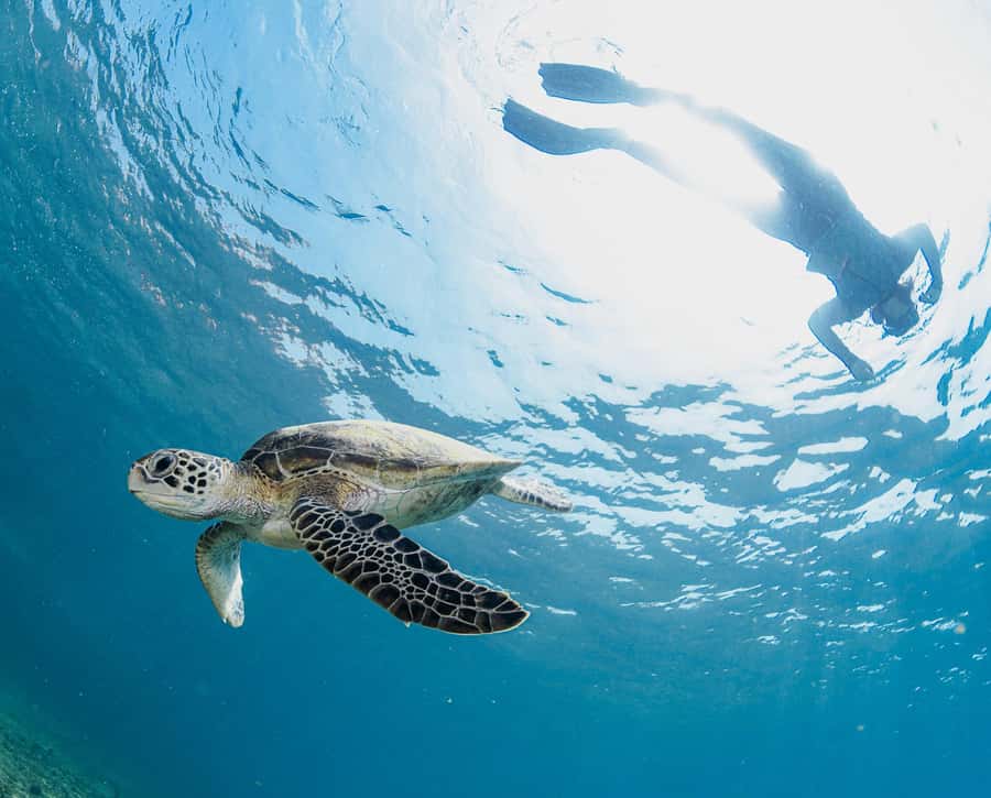 Muscat: Daymaniyat Islands Snorkeling Trip with BBQ Lunch - Final call on the Daymaniyat trip