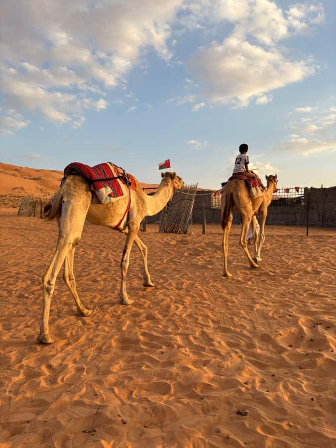 Muscat: Desert Sunset &Wadi Bnai Khalid Full-Day Tour+Lunch - Wadi Bani Khalid: Water, Palms, and a Short Walk