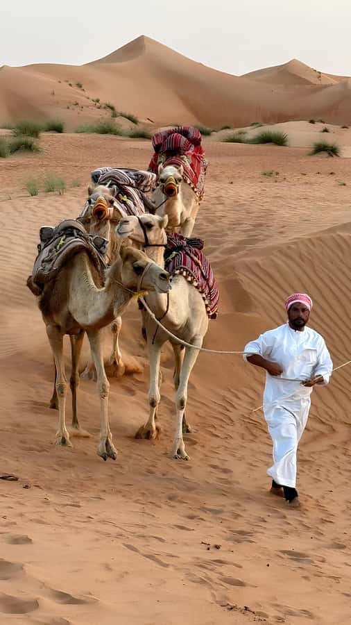 Muscat: Desert & Wadi Bani Khalid Tour with Quad Bike Option - Dune-bashing and the schedule question