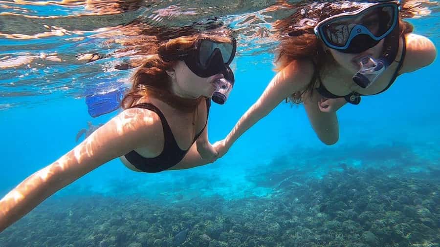 Muscat: Dolphin Watch & Snorkel Excursion - Timing, Transfers, and What to Pack