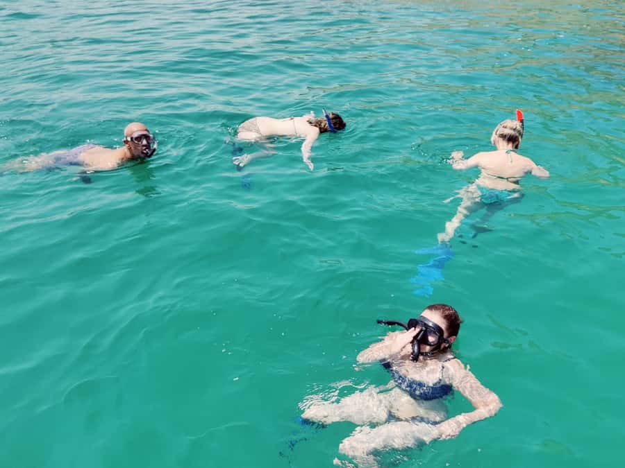 Muscat: Dolphin Watch & Snorkel Excursion - Who Will Get the Most from This Boat Trip?