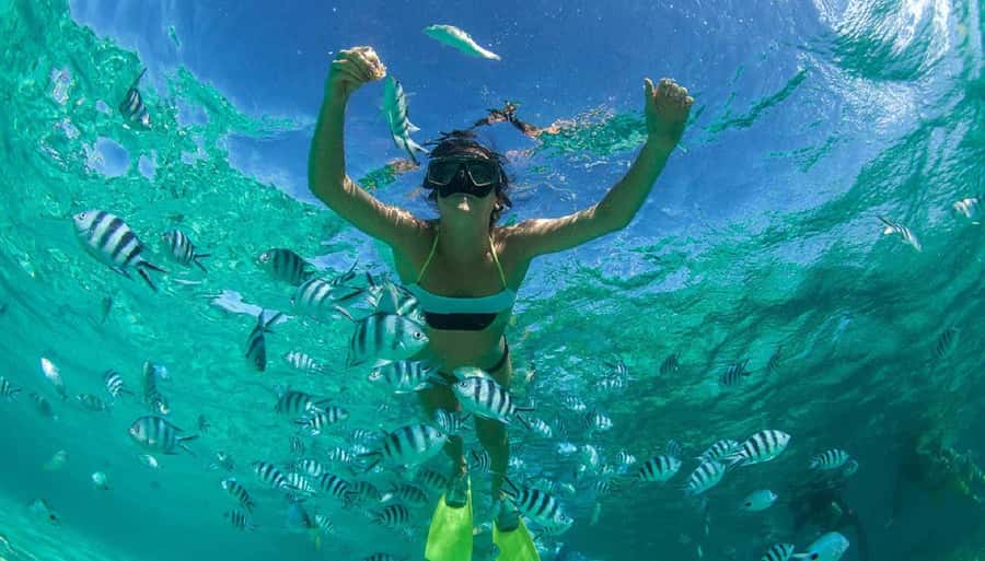 Muscat: Dolphin Watching and Snorkeling Tour - Who will enjoy this most
