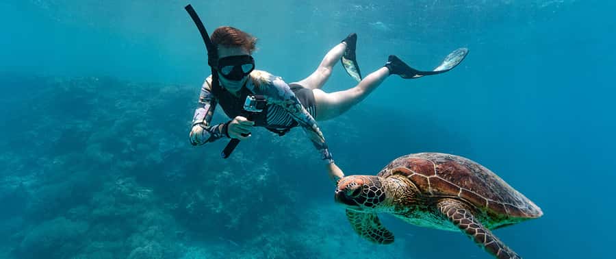 Muscat: Dolphin Watching and Snorkeling Tour - Practical advice for a better outing