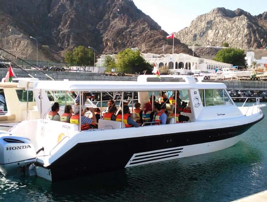 Muscat: Dolphin Watching and Snorkeling Tour - Should you book the Muscat dolphin and snorkeling tour?
