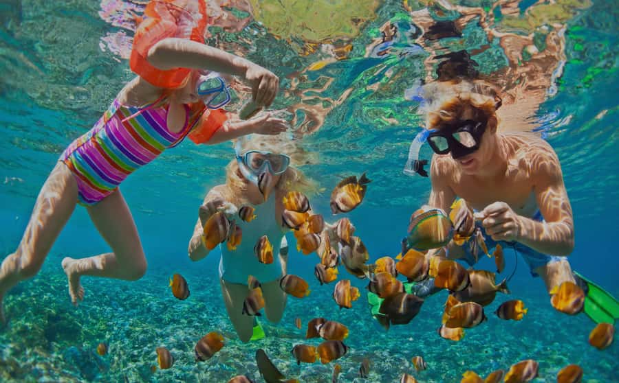 Muscat: Dolphin Watching and Snorkeling Tour - The one-hour ride from Muscat