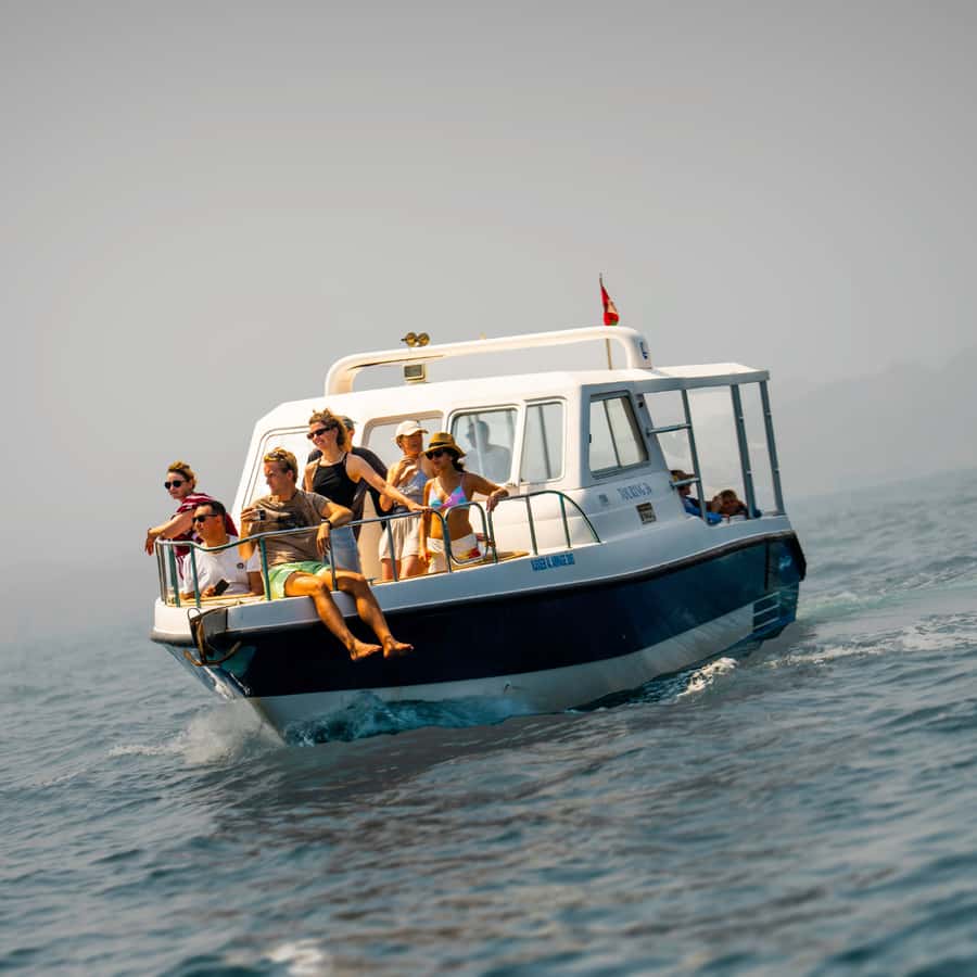 Muscat: Dolphin Watching and Snorkeling Trip - Key points to know before you book