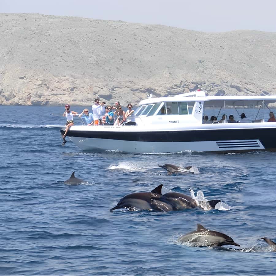 Muscat: Dolphin Watching and Snorkeling Trip - Choosing between the two morning time slots