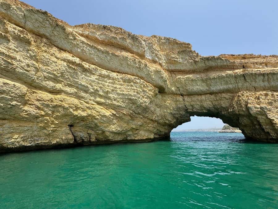 Muscat: Dolphin Watching Boat Amazing Trip - Watching dolphins without a circus atmosphere