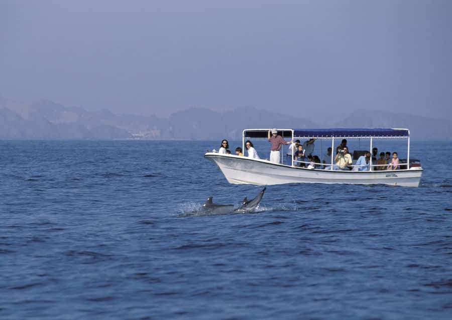 Muscat: Dolphin Watching Boat Amazing Trip - What the $28 price really covers